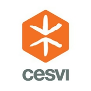 Cesvi